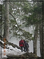 2011-03-08 08-16-55-黑森林踏雪行.JPG